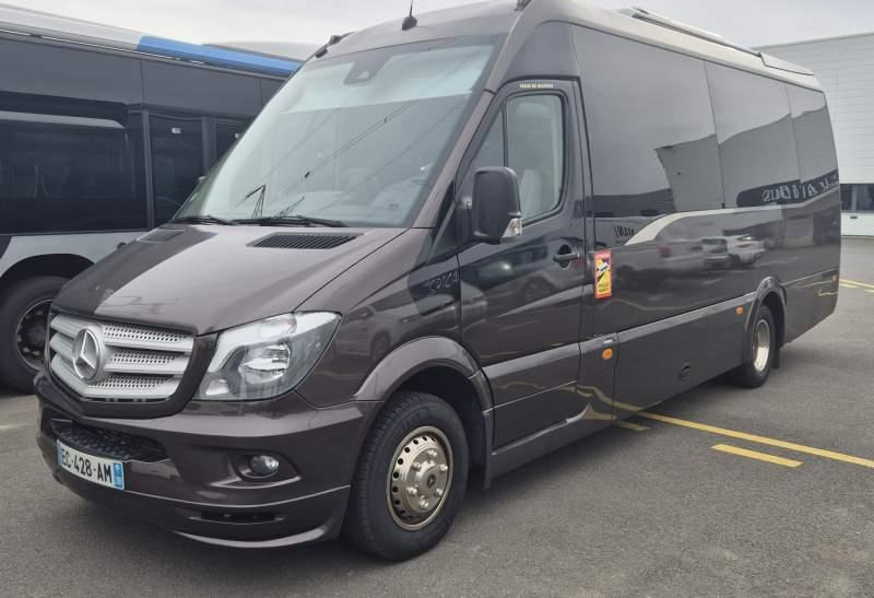 Turistbuss Mercedes-Benz 519 BLUETEC SPICA / MOTOR 3.0 / 21 MIEJSC: bilde 1