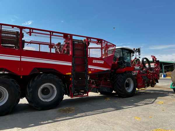 Grimme REXOR 6300 Platinum - Sukkerbete høster: bilde 1 Grimme REXOR 6300 Platinum - Sukkerbete høster: bilde 1