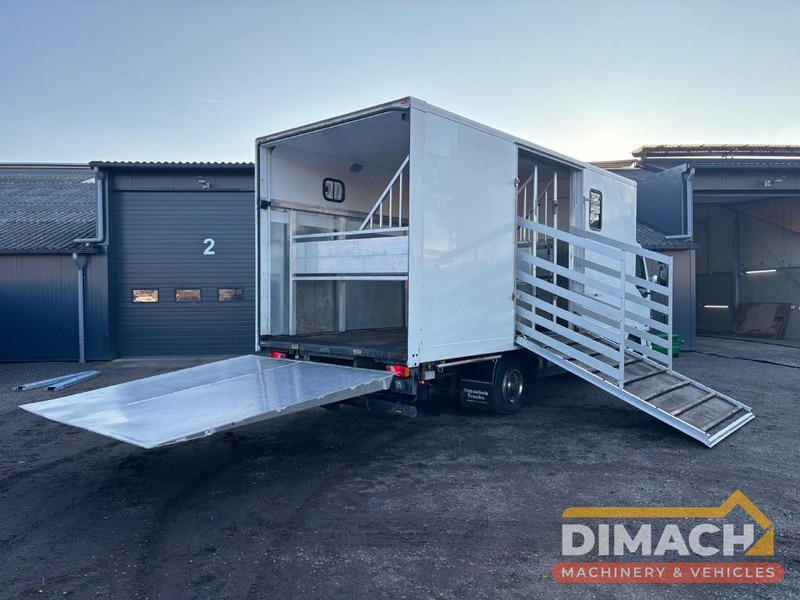 DAF FA LF45.150 4 paards, laadlift. Horsetruck NL truck - Hestebil: bilde 2 DAF FA LF45.150 4 paards, laadlift. Horsetruck NL truck - Hestebil: bilde 2