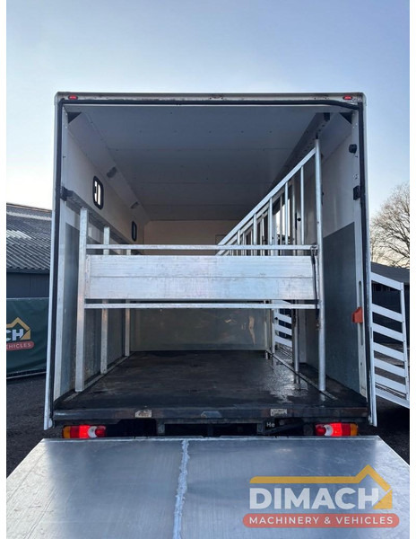 Hestebil DAF FA LF45.150 4 paards, laadlift. Horsetruck NL truck: bilde 16