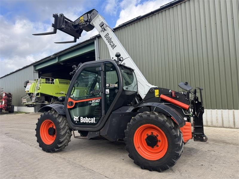 Bobcat TL 30.60 Agri - Teleskoplastere: bilde 4 Bobcat TL 30.60 Agri - Teleskoplastere: bilde 4