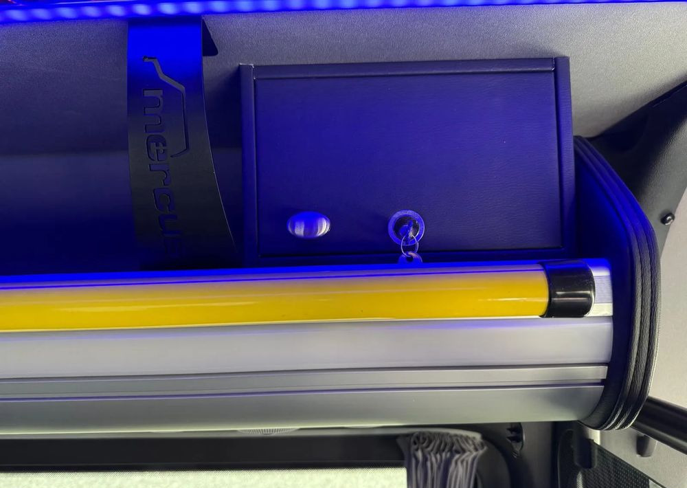 Ny Minibuss, Persontransport Mercedes-Benz Sprinter 517: bilde 14