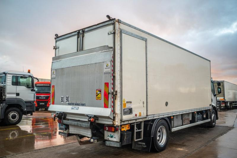 Renault PREMIUM 300DXI+POUSSIN/CHICKEN/KUIKEN/KÛKEN+DHOLLANDIA - Skapbil: bilde 3 Renault PREMIUM 300DXI+POUSSIN/CHICKEN/KUIKEN/KÛKEN+DHOLLANDIA - Skapbil: bilde 3