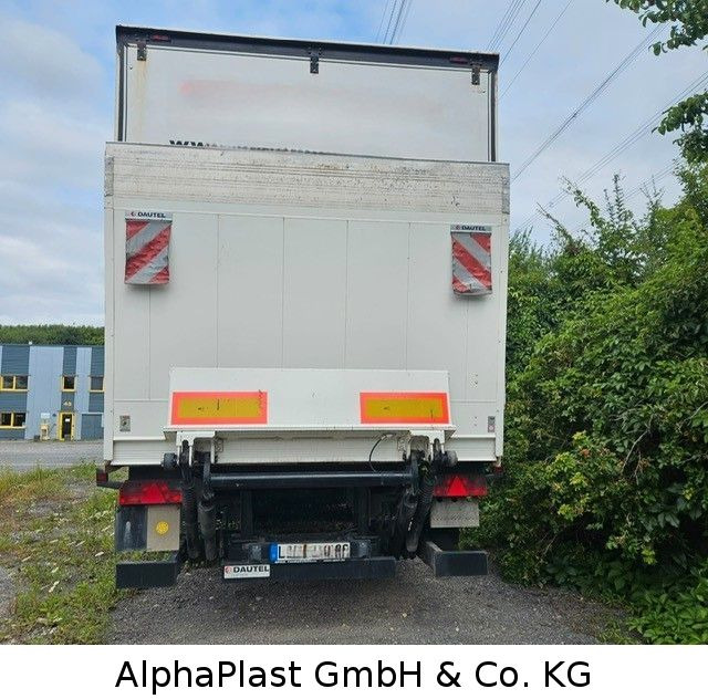 Spier Sanh SGL 390 - Skapsemi: bilde 2 Spier Sanh SGL 390 - Skapsemi: bilde 2