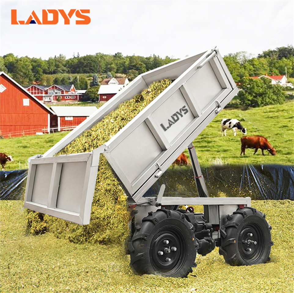 LADYS D-600 All-Terrain Four-Wheel Drive And Eight-Wheel Drive Transport Truck, Mountain Area Farm Orchard Greenhouse Construction Site Creeper Remote Control Electric Agricultural Transport Vehicle - ATV/ Quad: bilde 3 LADYS D-600 All-Terrain Four-Wheel Drive And Eight-Wheel Drive Transport Truck, Mountain Area Farm Orchard Greenhouse Construction Site Creeper Remote Control Electric Agricultural Transport Vehicle - ATV/ Quad: bilde 3