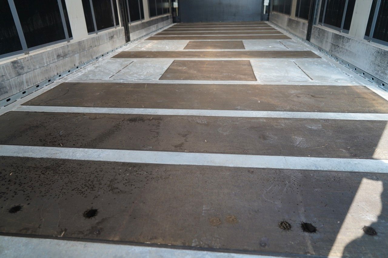 Leie  Volvo FH 500 / 6x2 / FIRANKA - 7,7 m / 2024 / KLIMA PO Volvo FH 500 / 6x2 / FIRANKA - 7,7 m / 2024 / KLIMA PO: bilde 21