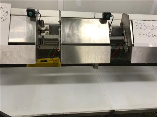 Nesco grader 8 station grader - Utstyr for næringsmiddelindustrien: bilde 4 Nesco grader 8 station grader - Utstyr for næringsmiddelindustrien: bilde 4