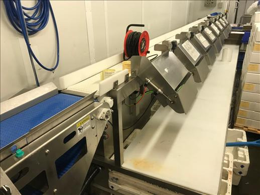 Nesco grader 8 station grader - Utstyr for næringsmiddelindustrien: bilde 1 Nesco grader 8 station grader - Utstyr for næringsmiddelindustrien: bilde 1