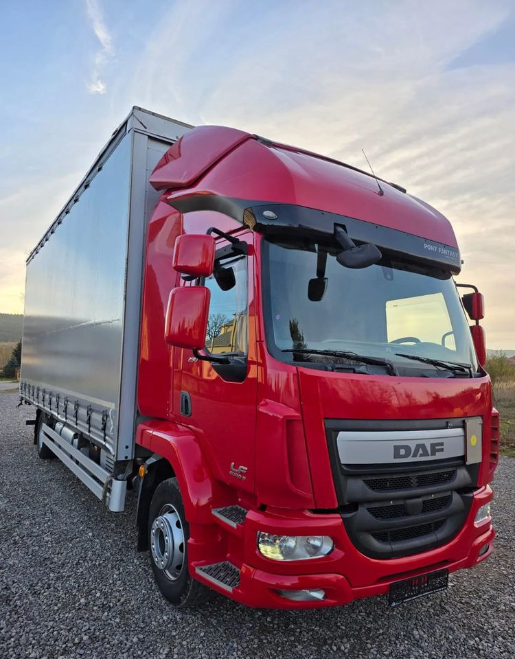 Kapellbil DAF LF 290 / WINDA / 16TON DMC / 3M WYSOKOŚĆ / JUMBO / FIRANKA / SYPIALKA / AUTOMAT / JEDEN WŁAŚCICIE / EURO 6 / 2017/ SPROWADZONY / 19 PALET / DUŻA ŁADOWNOŚĆ /: bilde 12 Kapellbil DAF LF 290 / WINDA / 16TON DMC / 3M WYSOKOŚĆ / JUMBO / FIRANKA / SYPIALKA / AUTOMAT / JEDEN WŁAŚCICIE / EURO 6 / 2017/ SPROWADZONY / 19 PALET / DUŻA ŁADOWNOŚĆ /: bilde 12