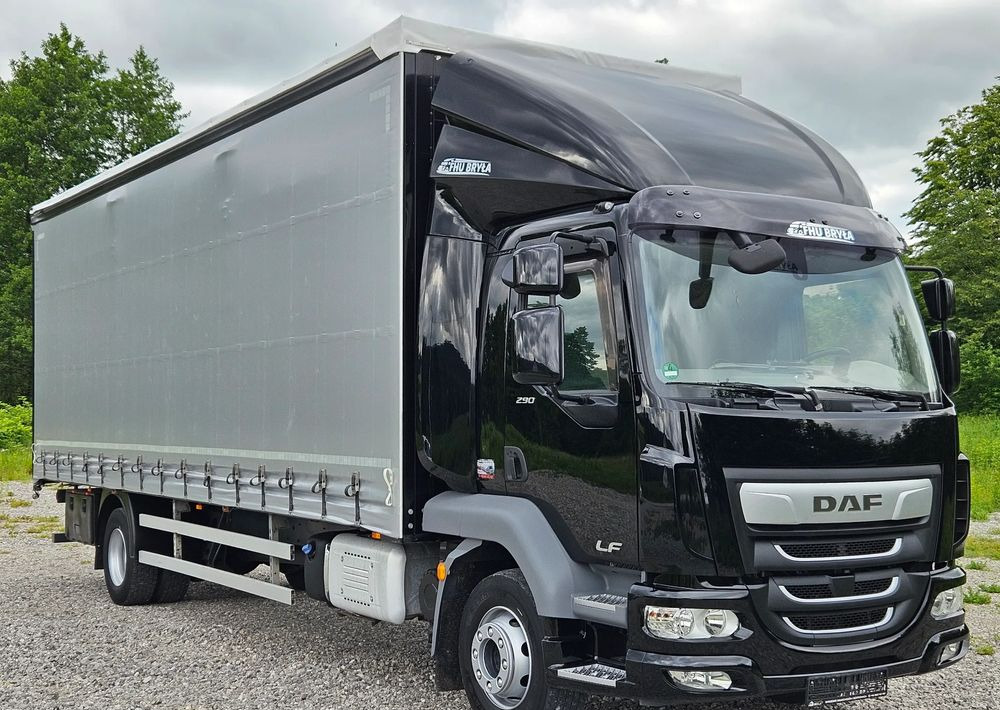 DAF LF 290/WINDA/16TON DMC/FIRANKA/AUTOMAT/16TON DMC/JEDEN WŁAŚCICIE/EURO 6/2019/SPROWADZONY/20PALET/NISKI PRZEBIEG/DUŻA ŁADOWNOŚĆ/JAK NOWY - Kapellbil: bilde 2 DAF LF 290/WINDA/16TON DMC/FIRANKA/AUTOMAT/16TON DMC/JEDEN WŁAŚCICIE/EURO 6/2019/SPROWADZONY/20PALET/NISKI PRZEBIEG/DUŻA ŁADOWNOŚĆ/JAK NOWY - Kapellbil: bilde 2
