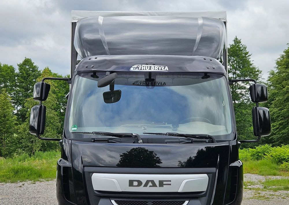 DAF LF 290/WINDA/16TON DMC/FIRANKA/AUTOMAT/16TON DMC/JEDEN WŁAŚCICIE/EURO 6/2019/SPROWADZONY/20PALET/NISKI PRZEBIEG/DUŻA ŁADOWNOŚĆ/JAK NOWY - Kapellbil: bilde 5 DAF LF 290/WINDA/16TON DMC/FIRANKA/AUTOMAT/16TON DMC/JEDEN WŁAŚCICIE/EURO 6/2019/SPROWADZONY/20PALET/NISKI PRZEBIEG/DUŻA ŁADOWNOŚĆ/JAK NOWY - Kapellbil: bilde 5