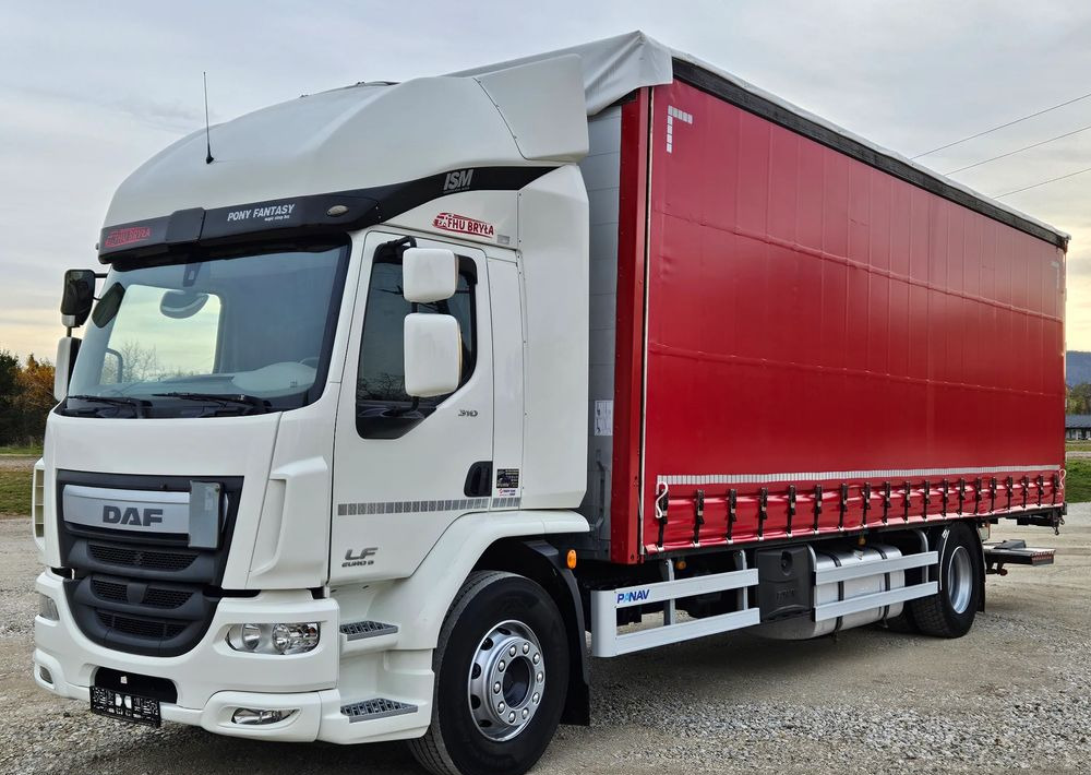 DAF LF 310/WINDA/FIRANKA/NOWE TURBO/NOWE SPRZĘGŁO/EURO 6/SPROWADZONY/20PALET/ŁADOWNOSC 10TON - Kapellbil: bilde 1 DAF LF 310/WINDA/FIRANKA/NOWE TURBO/NOWE SPRZĘGŁO/EURO 6/SPROWADZONY/20PALET/ŁADOWNOSC 10TON - Kapellbil: bilde 1