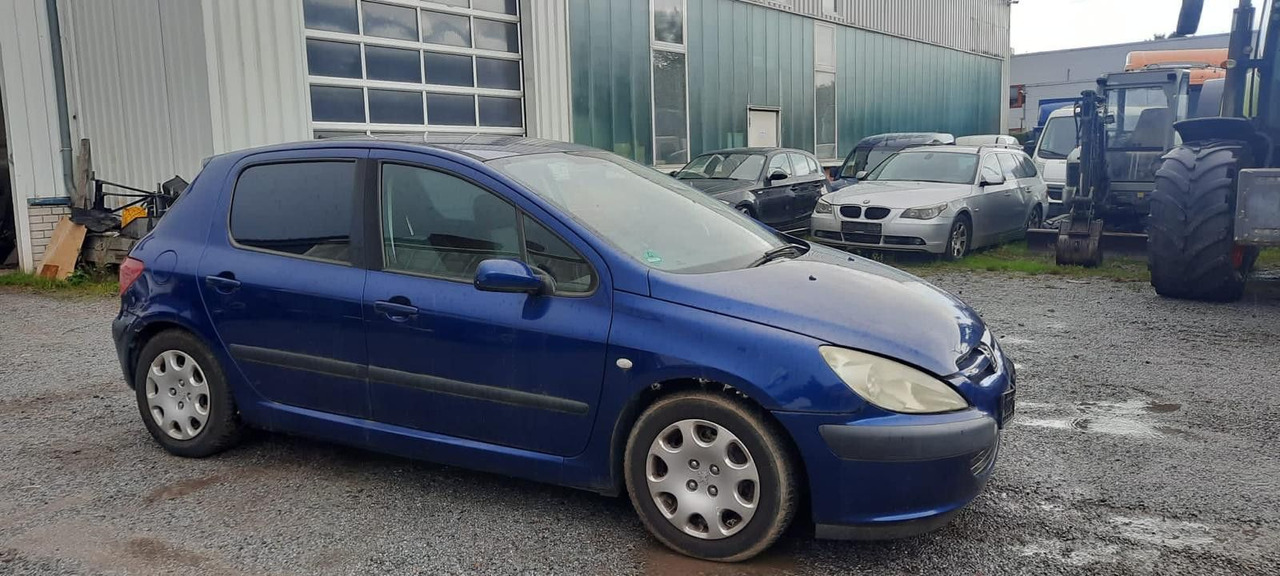 Peugeot 307 Grand Filou - Sedan: bilde 2 Peugeot 307 Grand Filou - Sedan: bilde 2