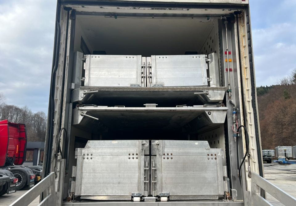 Leie  Pezzaioli HMK Industri // Do przewozu zwierząt // 2004 Rok // 3 Pokłady // Waga // Osi skrętne // Oznonacja // Pezzaioli HMK Industri // Do przewozu zwierząt // 2004 Rok // 3 Pokłady // Waga // Osi skrętne // Oznonacja //: bilde 12