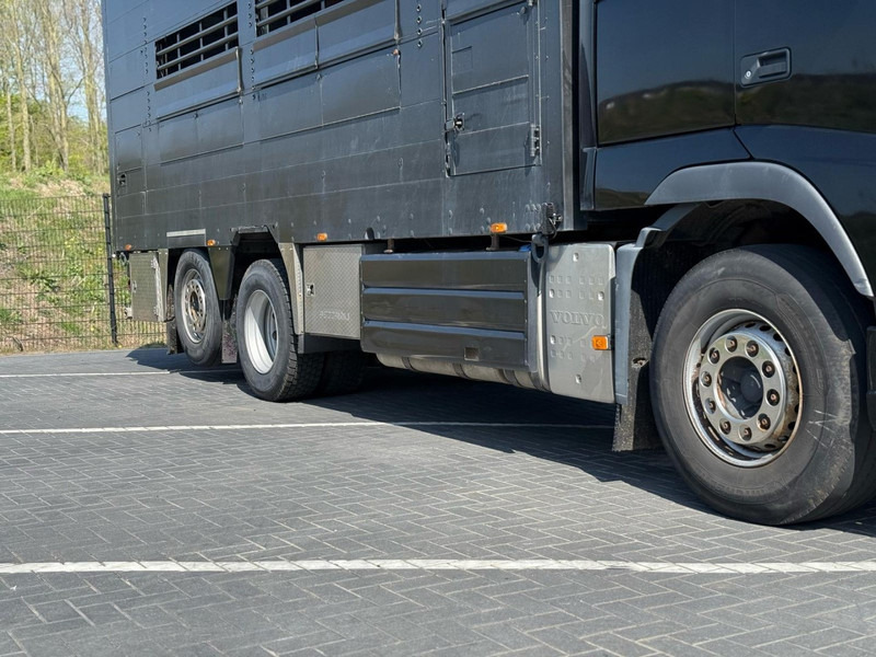 Volvo FH 13.540 STEERING, RETARDER, DOUBLE FLOOR, LIVE STOCK. - Dyretransport lastebil: bilde 3 Volvo FH 13.540 STEERING, RETARDER, DOUBLE FLOOR, LIVE STOCK. - Dyretransport lastebil: bilde 3