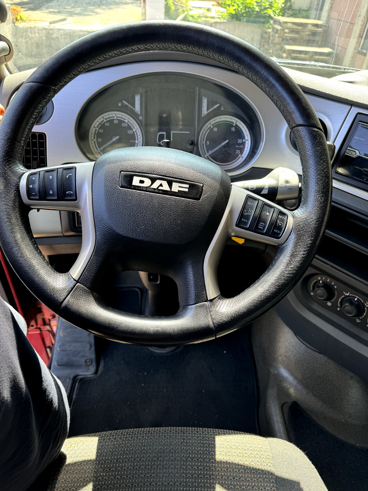 Trekkvogn DAF XF 460: bilde 6