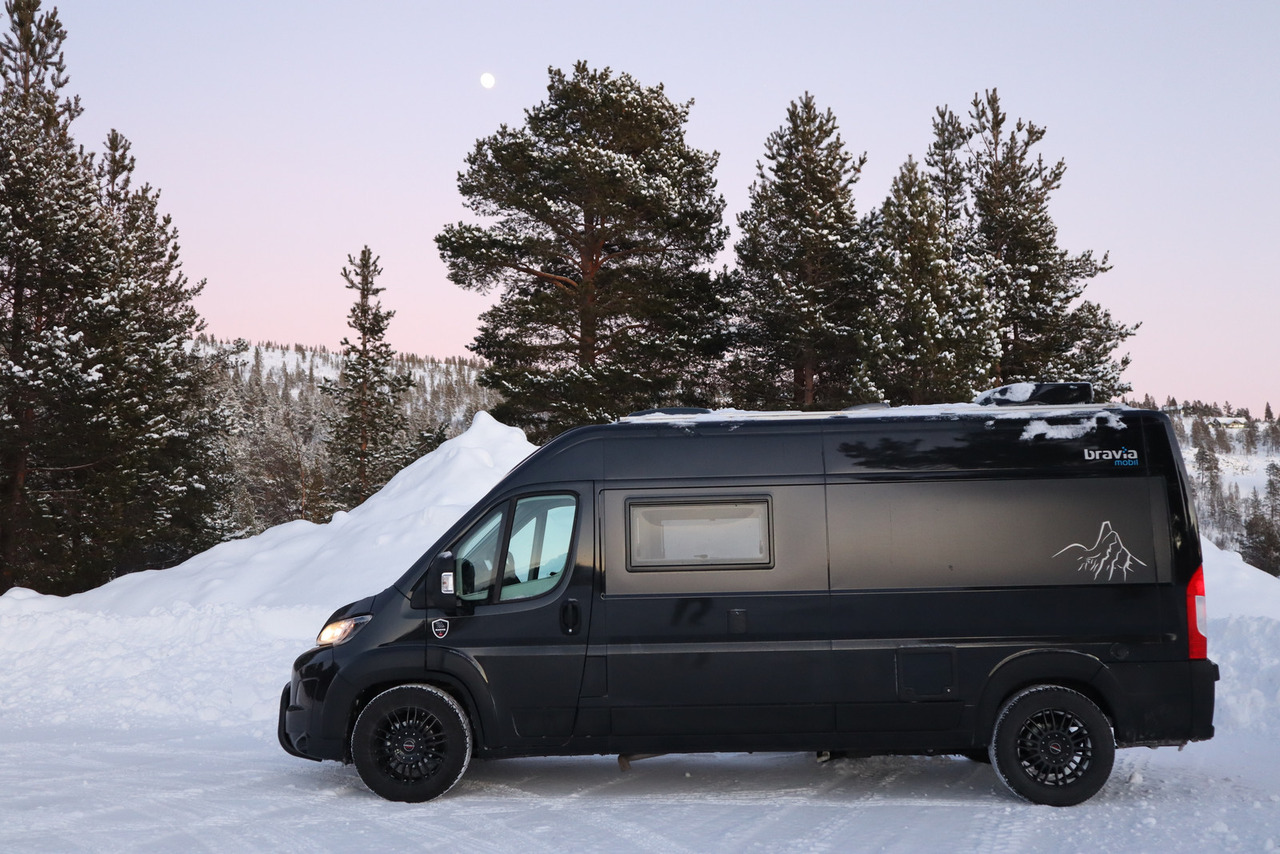 Ny Bybobil Bravia Swan 599 Nordic: bilde 17 Ny Bybobil Bravia Swan 599 Nordic: bilde 17