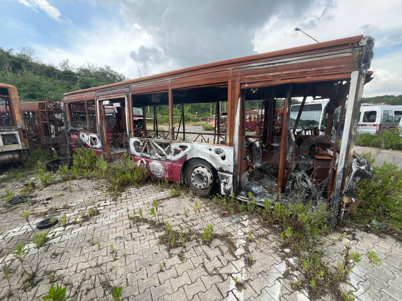 Bundle di 7 mezzi Iveco - Citelis Iveco - Citelis Iveco - Citelis Iveco - Citelis Iveco - Citelis Iveco - Citelis Iveco - Citelis - Bybuss: bilde 3 Bundle di 7 mezzi Iveco - Citelis Iveco - Citelis Iveco - Citelis Iveco - Citelis Iveco - Citelis Iveco - Citelis Iveco - Citelis - Bybuss: bilde 3