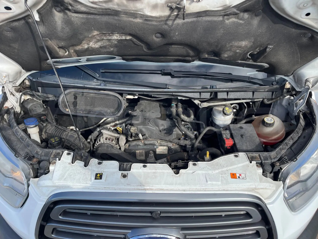 Minibuss, Persontransport Ford Transit: bilde 19