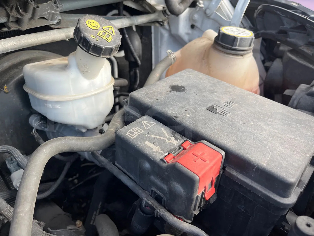 Minibuss, Persontransport Ford Transit: bilde 21