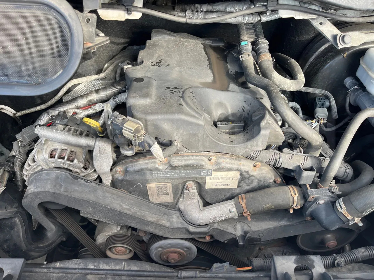 Minibuss, Persontransport Ford Transit: bilde 25