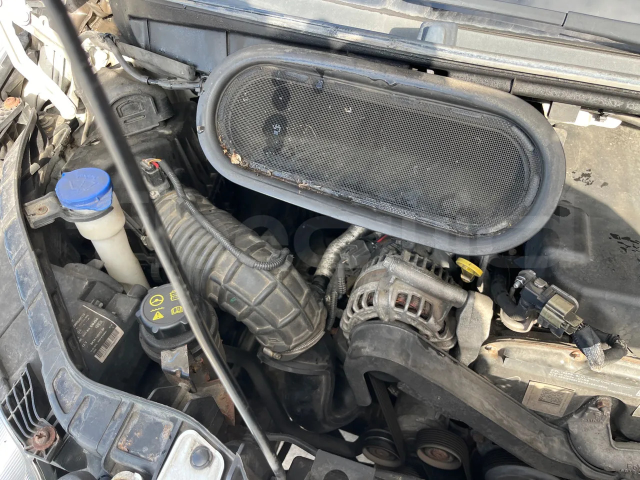 Minibuss, Persontransport Ford Transit: bilde 20