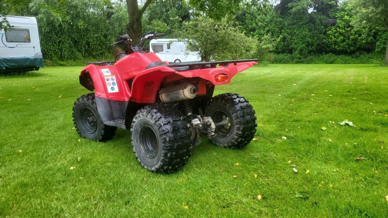 Yamaha Grizzly 300 - ATV/ Quad: bilde 3 Yamaha Grizzly 300 - ATV/ Quad: bilde 3