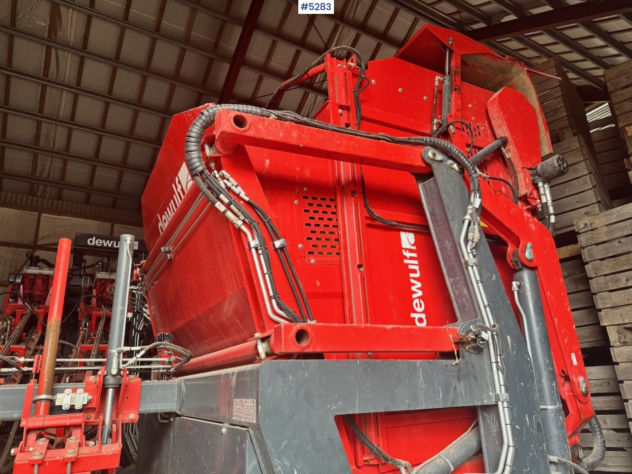 2020 Dewulf GB11 Carrot Harvester. Well equipped. - Tresker: bilde 5 2020 Dewulf GB11 Carrot Harvester. Well equipped. - Tresker: bilde 5