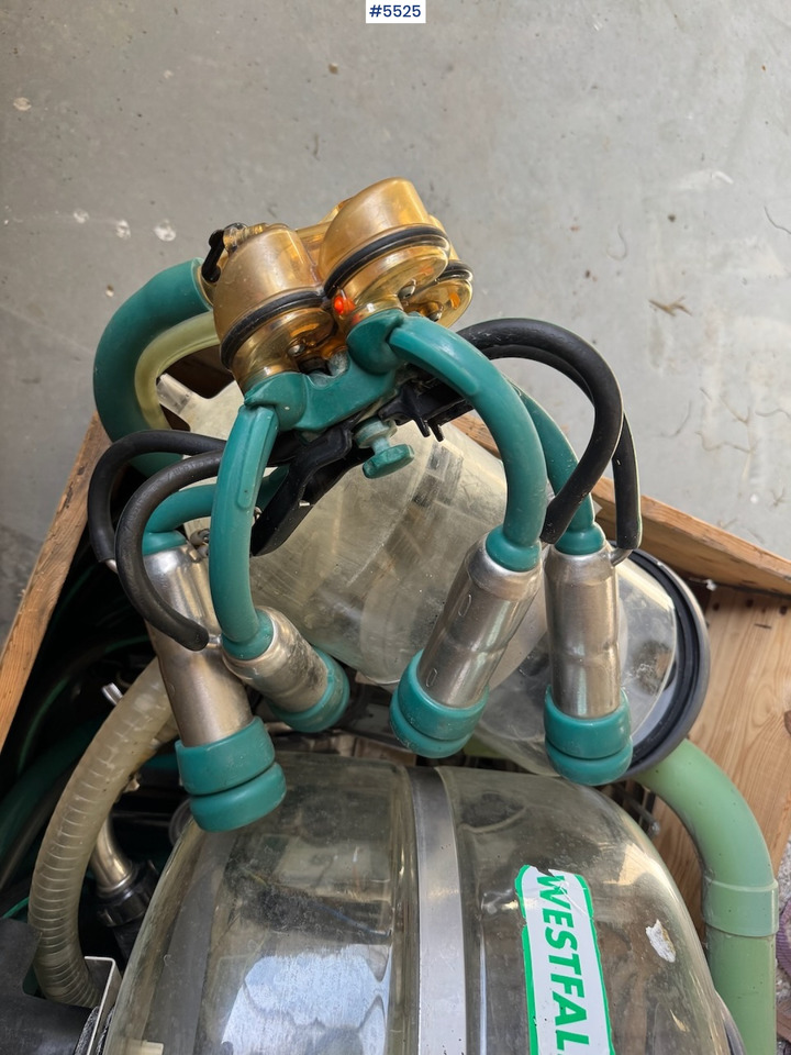 Westfalia Melkeanlegg - Melkemaskin: bilde 4 Westfalia Melkeanlegg - Melkemaskin: bilde 4