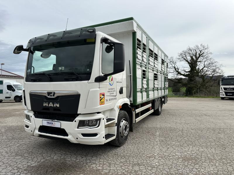 MAN M 90 15.290 TGM - Dyretransport lastebil: bilde 1 MAN M 90 15.290 TGM - Dyretransport lastebil: bilde 1