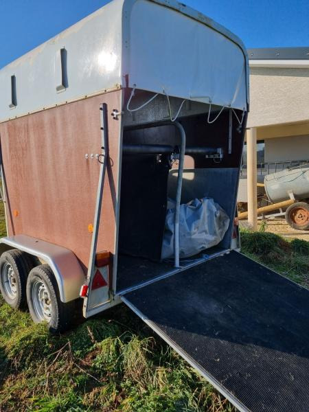 Vanisere - - Hestehenger: bilde 3 Vanisere - - Hestehenger: bilde 3