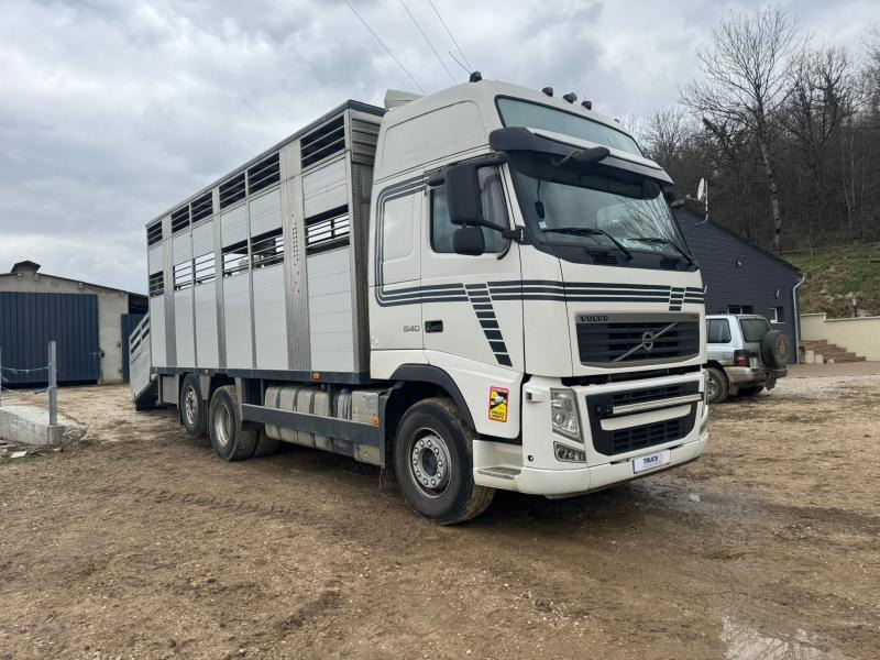 Volvo FH 540 - Dyretransport lastebil: bilde 2 Volvo FH 540 - Dyretransport lastebil: bilde 2