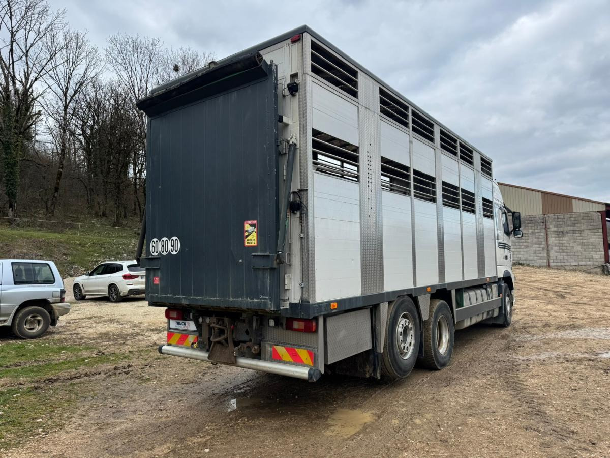 Volvo FH 540 - Dyretransport lastebil: bilde 5 Volvo FH 540 - Dyretransport lastebil: bilde 5