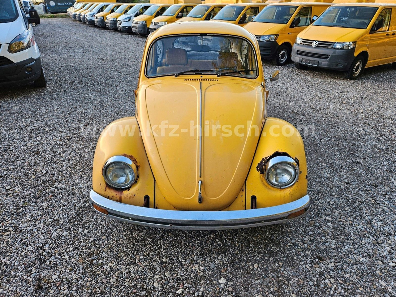 Volkswagen Käfer Sunny Bug Sondermodell 2.Hand - Sedan: bilde 5 Volkswagen Käfer Sunny Bug Sondermodell 2.Hand - Sedan: bilde 5