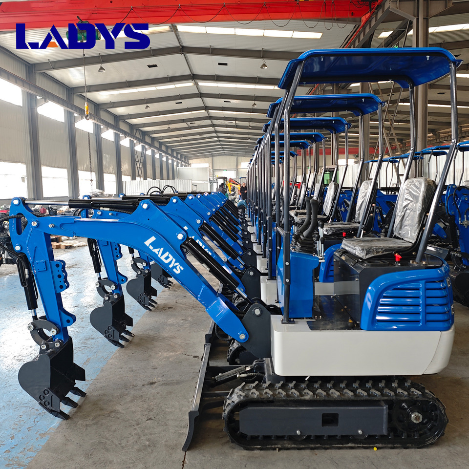 Free Shipping Mini Excavator Bagger Pelle Miniexcavadora 1 2 3.5 Ton CE/EPA/EURO 5 Kubota Engine Diesel/Electric Mini Excavators For Sale - Beltegraver: bilde 1 Free Shipping Mini Excavator Bagger Pelle Miniexcavadora 1 2 3.5 Ton CE/EPA/EURO 5 Kubota Engine Diesel/Electric Mini Excavators For Sale - Beltegraver: bilde 1
