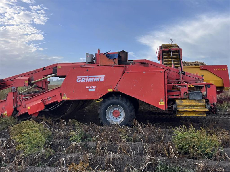 Grimme GV 3000 - Potethøster: bilde 3 Grimme GV 3000 - Potethøster: bilde 3