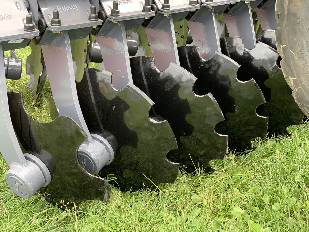 MANDAM Déchaumeur à disques GAL-TAL - Skålharv: bilde 2 MANDAM Déchaumeur à disques GAL-TAL - Skålharv: bilde 2