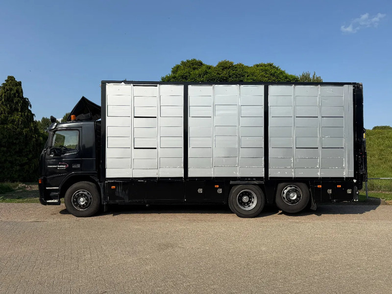 Volvo FM 300 Livestock Cuppers 3 laags 6x2 - Dyretransport lastebil: bilde 4 Volvo FM 300 Livestock Cuppers 3 laags 6x2 - Dyretransport lastebil: bilde 4