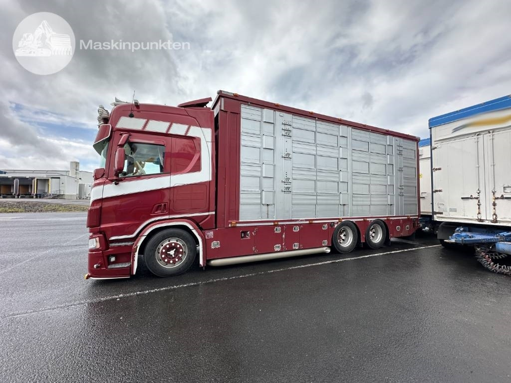 Scania R 580 Ekipage - Dyretransport lastebil: bilde 1 Scania R 580 Ekipage - Dyretransport lastebil: bilde 1