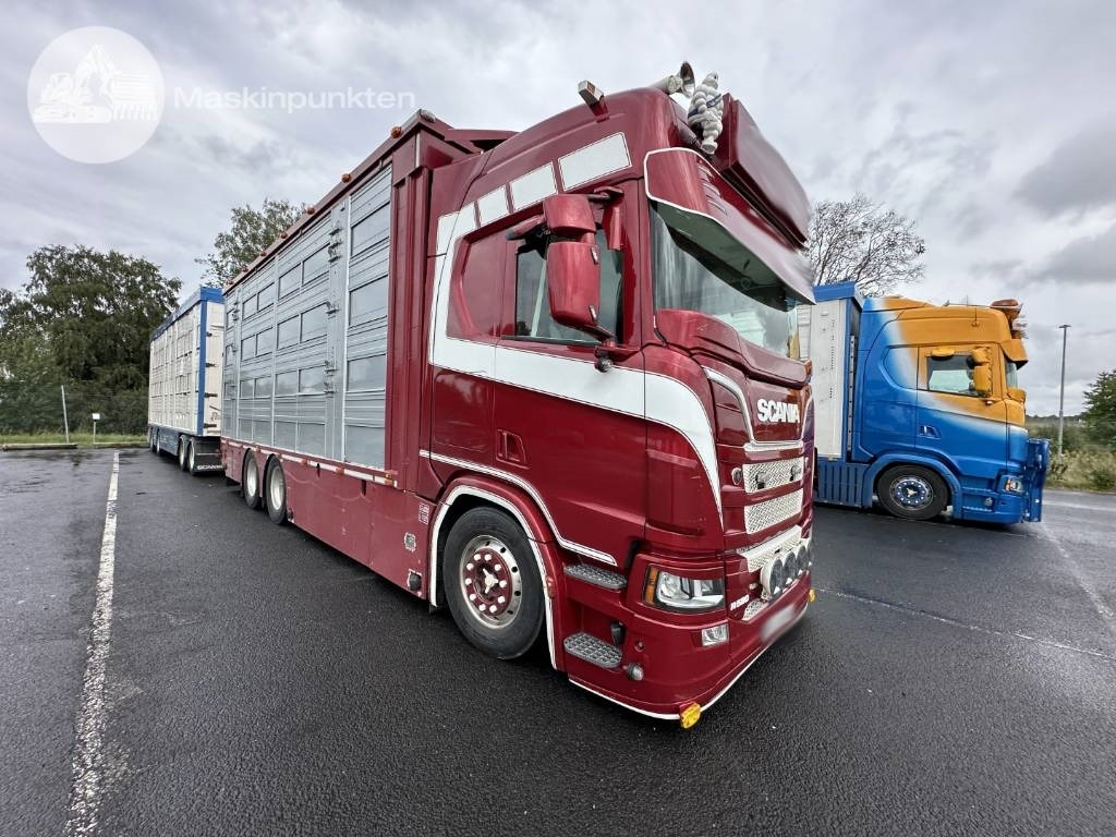 Scania R 580 Ekipage - Dyretransport lastebil: bilde 3 Scania R 580 Ekipage - Dyretransport lastebil: bilde 3
