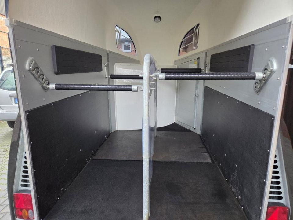 Böckmann Pferdeanhänger Champion R SaKa. WCF-Fahrwerk 100 km/h - Hestehenger: bilde 5 Böckmann Pferdeanhänger Champion R SaKa. WCF-Fahrwerk 100 km/h - Hestehenger: bilde 5