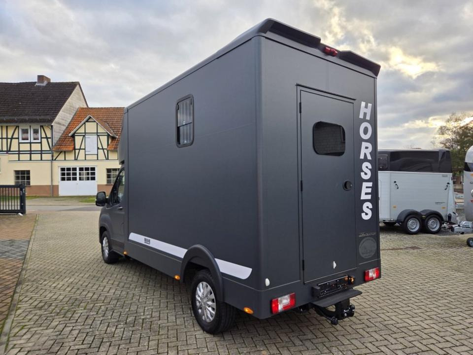 MSG Stablehopper Pferdetransporter Pferdeanhänger Böckmann - Hestebil: bilde 4 MSG Stablehopper Pferdetransporter Pferdeanhänger Böckmann - Hestebil: bilde 4