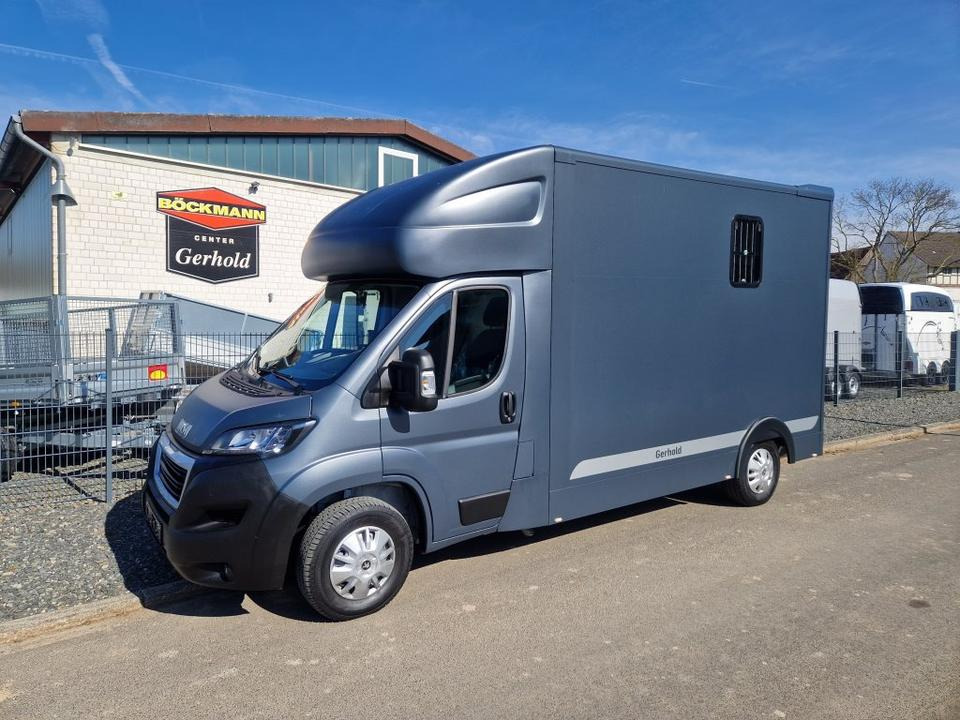 MSG Stablehopper Pferdetransporter Pferdeanhänger Böckmann - Hestebil: bilde 2 MSG Stablehopper Pferdetransporter Pferdeanhänger Böckmann - Hestebil: bilde 2