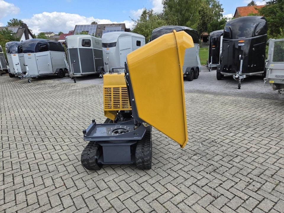 Muldendumper 1,2t Schwenkbar Kettendumper Dumper Mieten Leihen - Hjuldumper: bilde 4 Muldendumper 1,2t Schwenkbar Kettendumper Dumper Mieten Leihen - Hjuldumper: bilde 4