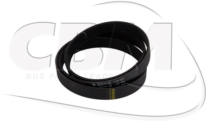 HUTCHINSON BELT - IRISBUS - IVECO - RVI DAF NEOPLAN (5001008878 | 0611049 | 730103278) - Reim for Buss: bilde 1 HUTCHINSON BELT - IRISBUS - IVECO - RVI DAF NEOPLAN (5001008878 | 0611049 | 730103278) - Reim for Buss: bilde 1