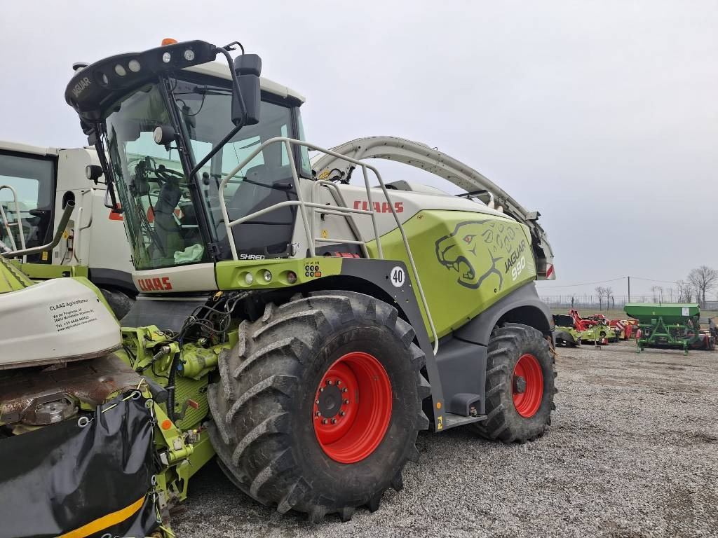 Claas Jaguar 990 - Forhøster: bilde 5 Claas Jaguar 990 - Forhøster: bilde 5