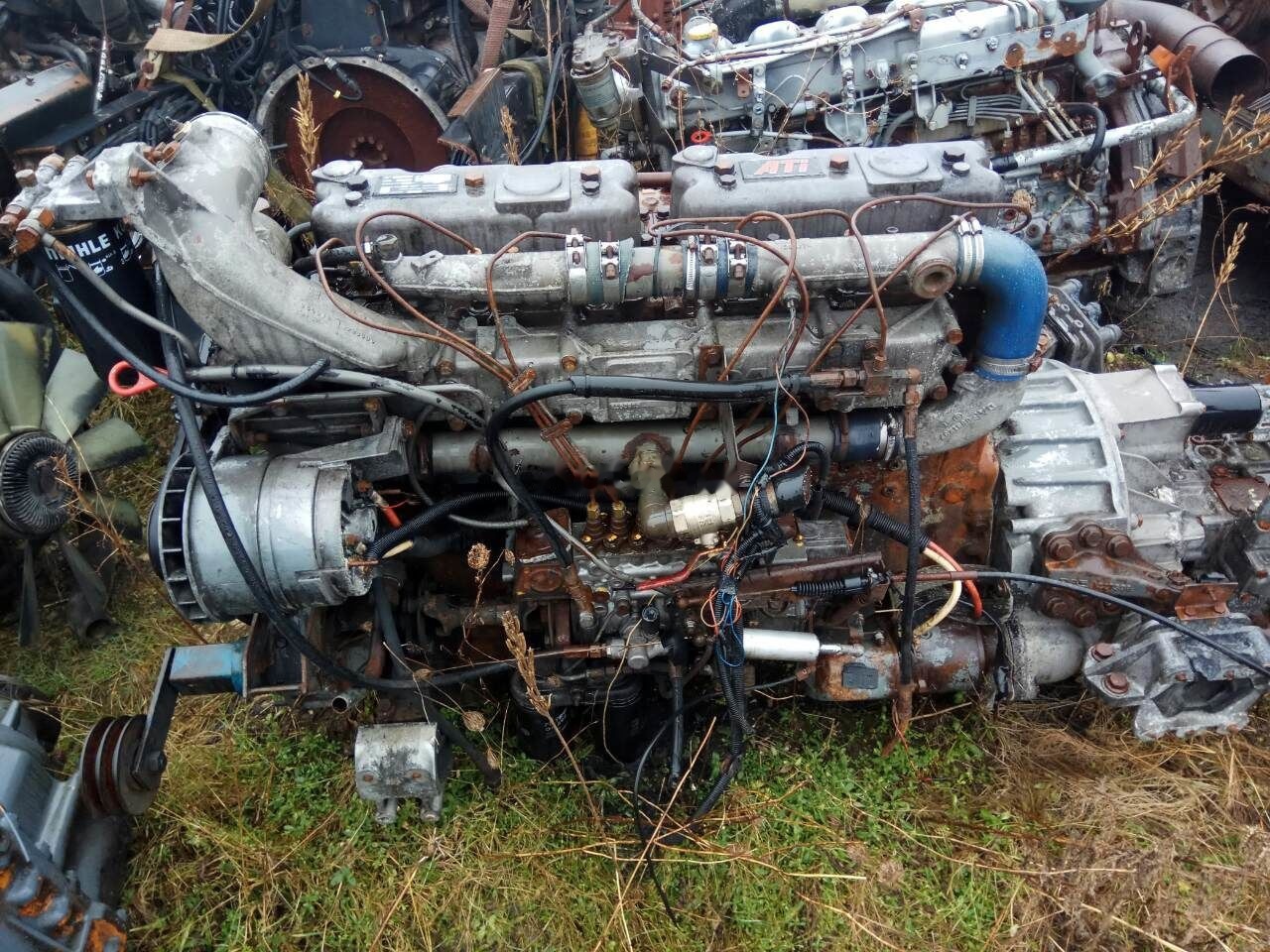 DAF ATI WS315M DAF 95 - Motor for Lastebil: bilde 1 DAF ATI WS315M DAF 95 - Motor for Lastebil: bilde 1