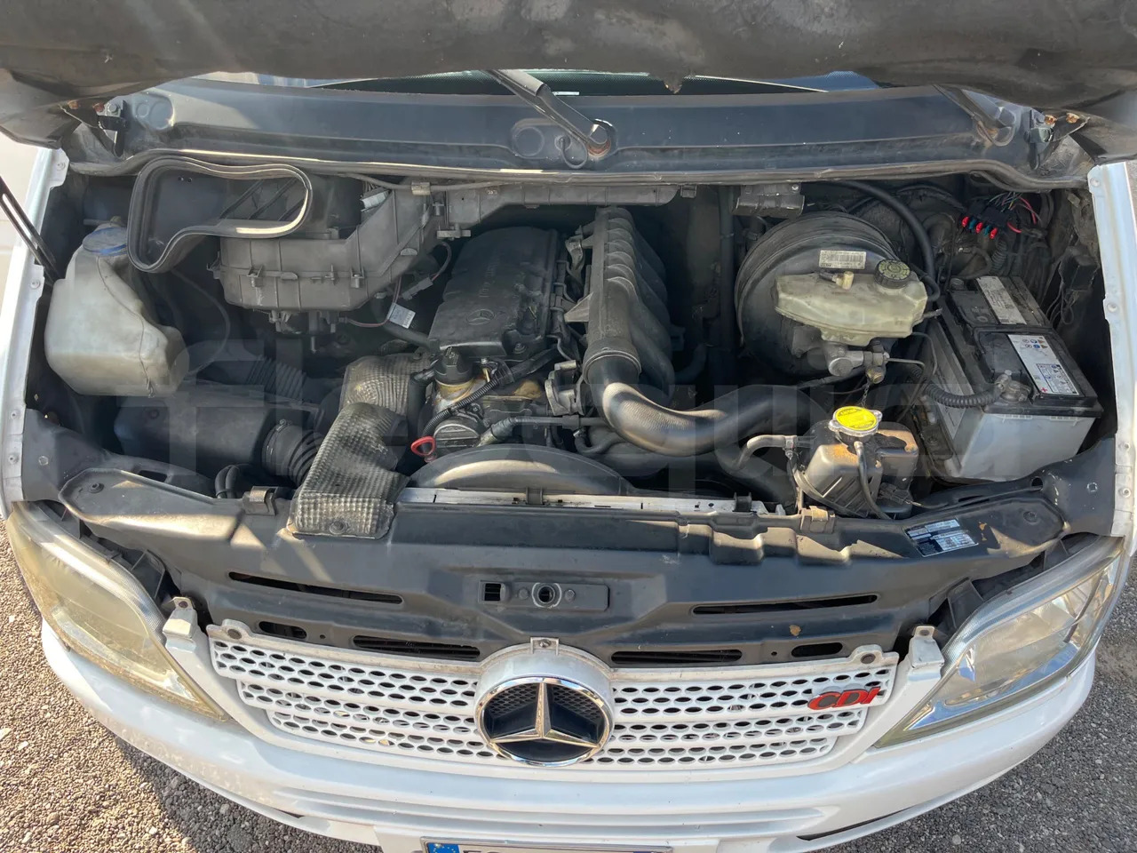 Minibuss, Persontransport Mercedes-Benz Sprinter: bilde 20