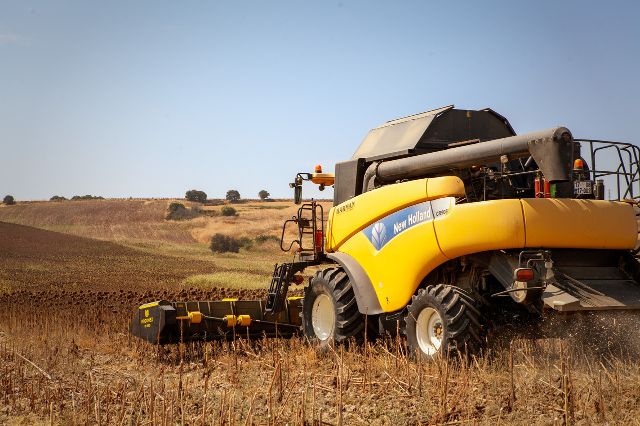 Modonex MX-630 - Skjærebord for solsikke: bilde 3 Modonex MX-630 - Skjærebord for solsikke: bilde 3