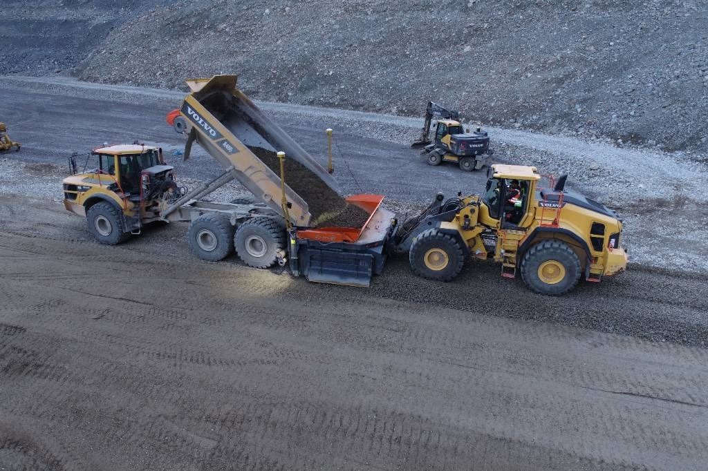 Reptail LM - Grader: bilde 2 Reptail LM - Grader: bilde 2